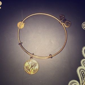 Sister Alex and ani bracelet